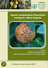 gestione agrumeto