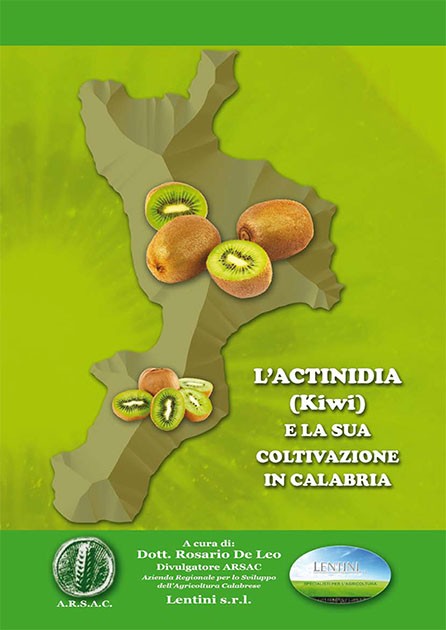 Lactinidia-e-la-sua-coltivazione-in-calabria-1