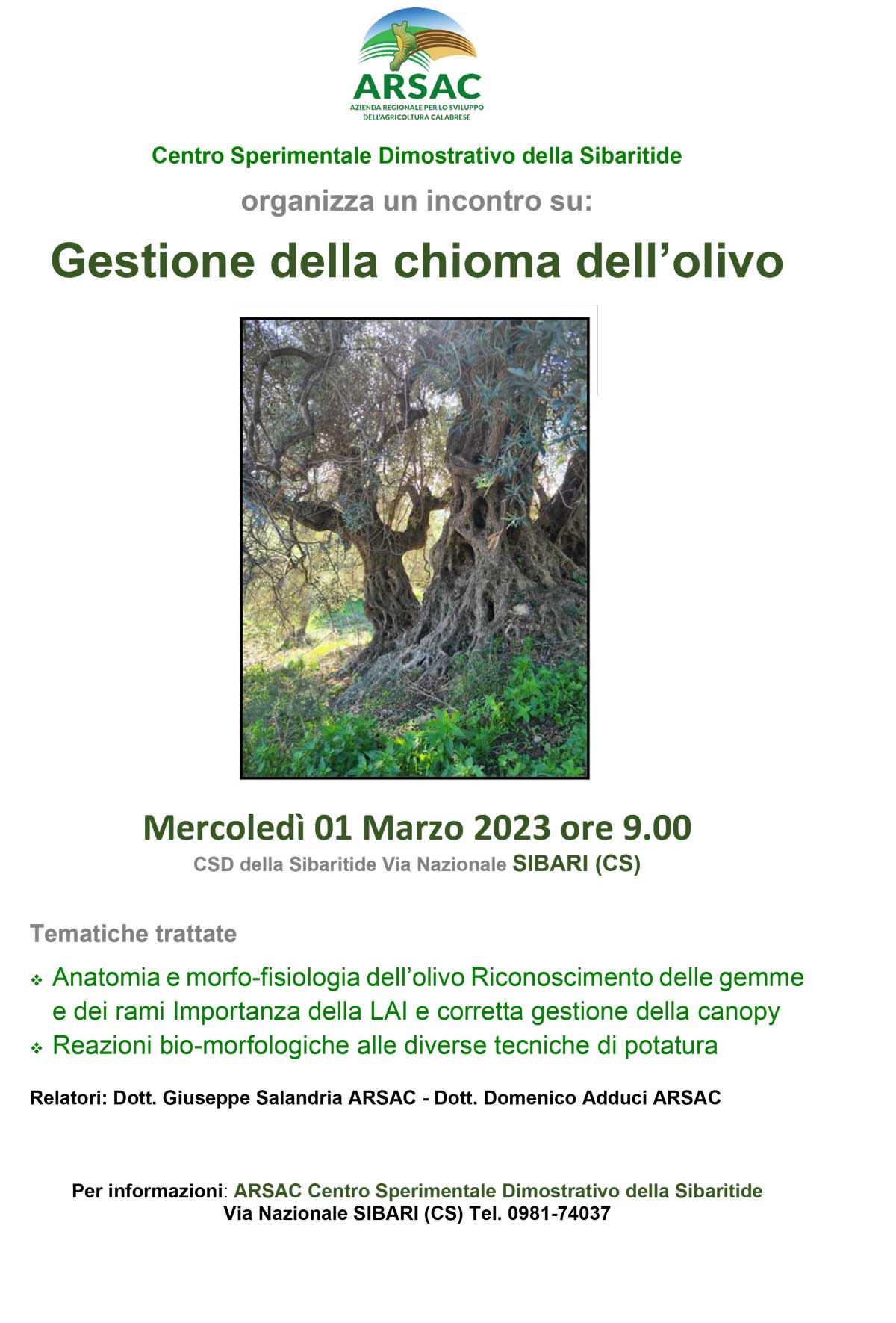 gestione chioma