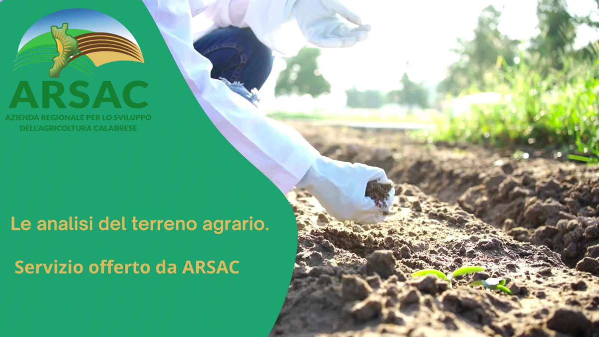 analisi terreno