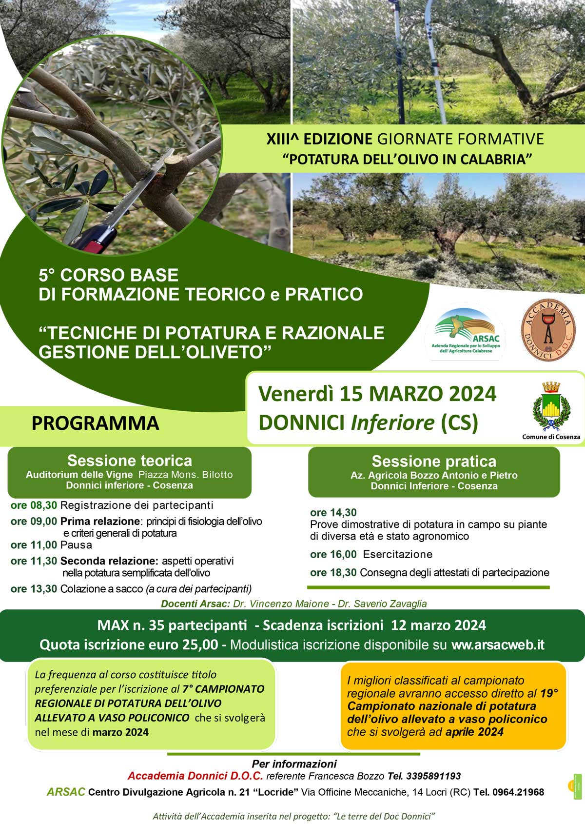 potatura olivo donnici 2024