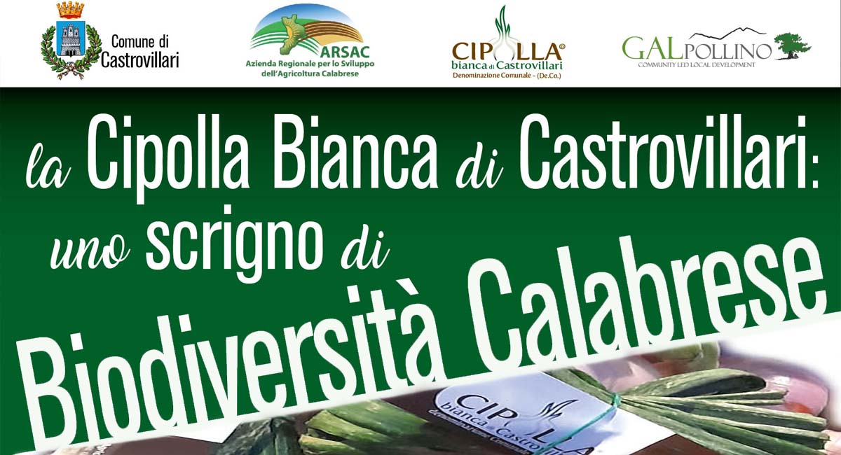 cipolla bianca