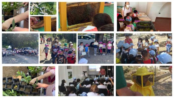 Collage_bimbi-scuola-web Collage_bimbi-scuola-web