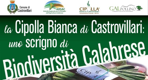 cipolla bianca