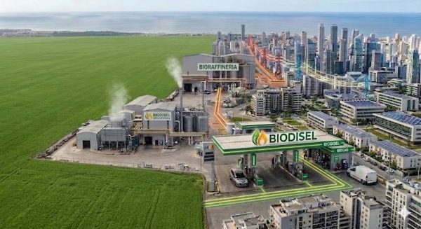 agroenergia2