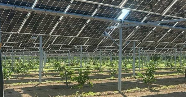 agrovoltaico