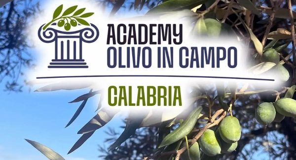 banner IA academy web