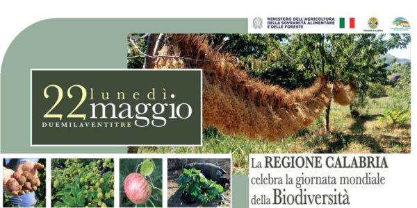 banner-biodiversita-regione.web