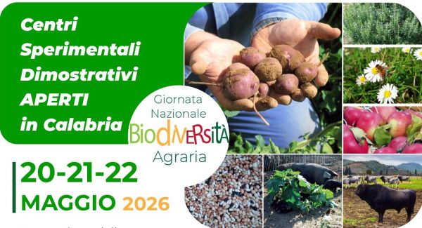 banner-csd-aperti-2026