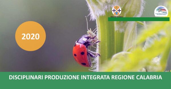 disciplinari produzione integrata