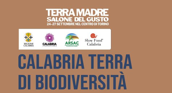 banner terra madre
