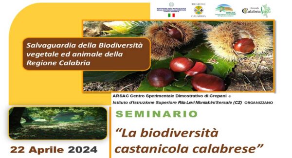 biodiversita-sersale1banner