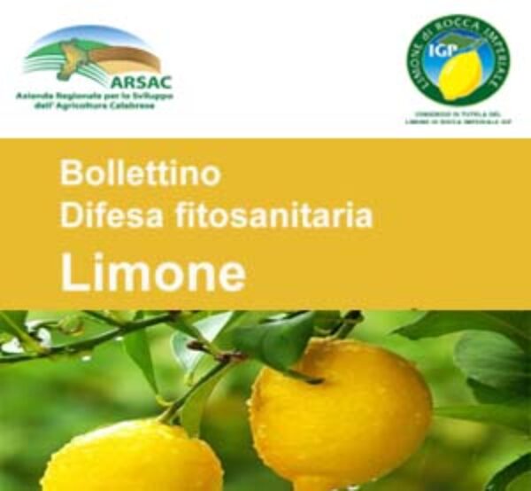 bollettino-limone_giallo-300x159