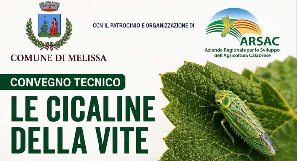 cicaline melissa 2026