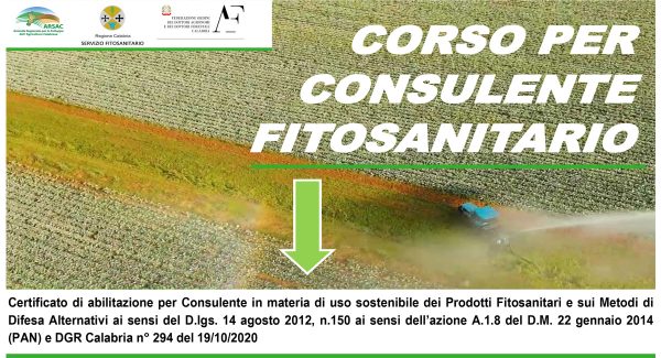 consulenti-2025