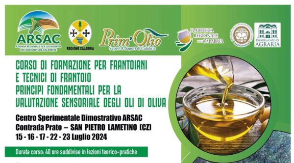 frantoiani-home-lt-2024-web