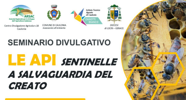 home-api-caulonia api