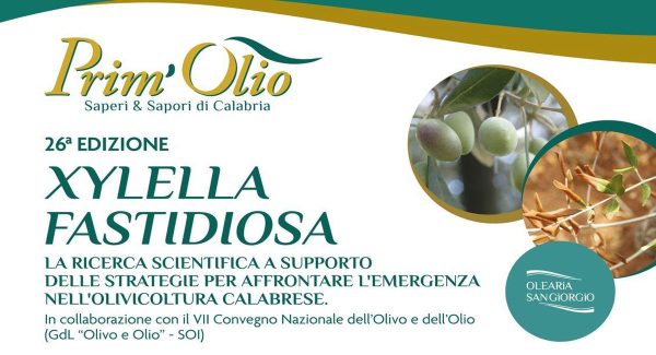 home-primolio