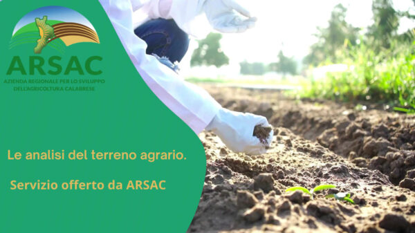 analisi terreno