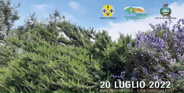 officinali-web. officinali-web.