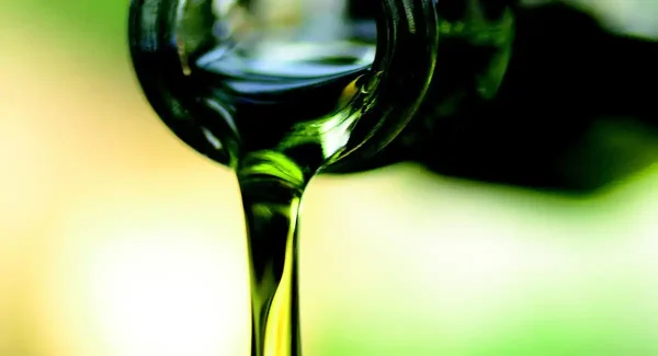 olio impianti web