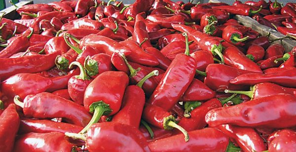 peperoncino