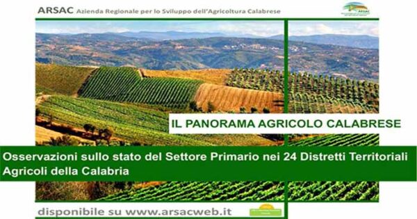 panorama agricolo calabrese
