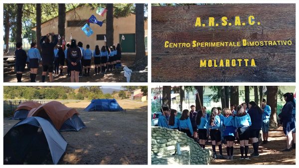 scout molarotta