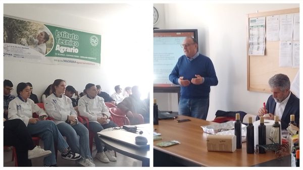 seminario olio