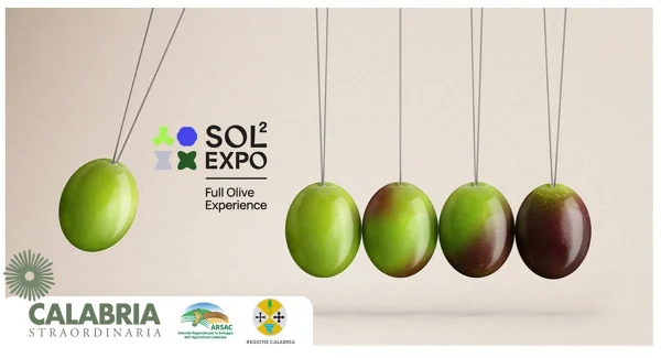 sol 2 expo sol 2 expo